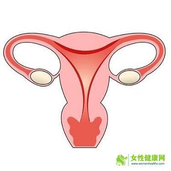女性输卵管粘连的表现有哪些